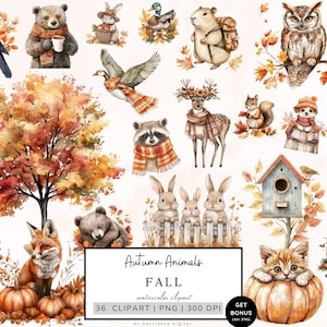 May include: A set of 36 watercolor clipart images featuring autumn animals, including a raccoon, fox, owl, deer, bear, squirrel, hedgehog, bunny, cat, and bird. The images are perfect for creating fall-themed crafts, cards, and other projects.