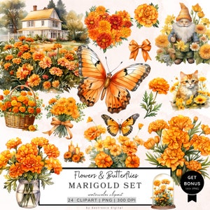 Ringelblumen und Schmetterling Clipart, Wildblumen Clipart, Blumen Png, Cottagecore Clipart, Floral Png, Aquarell Clipart Set, Digitaler Download