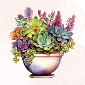 May include: A colorful succulent arrangement in a purple and white ceramic pot. The succulents are in shades of green, blue, pink, and red.