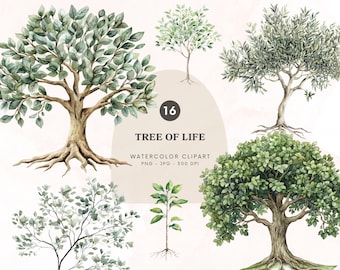 Watercolor Tree Of Life Clipart, Roots Clipart, Botanical Printable Trees, Green Tree Png, Nature Graphics, Commercial Use, Digital Download