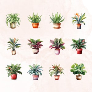 May include: A collection of twelve watercolor illustrations of potted plants. The plants are a variety of colors and types, including green, red, and orange. The pots are all different shapes and sizes, and some have decorative details.