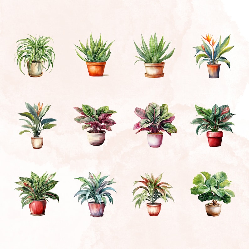 May include: A collection of twelve watercolor illustrations of potted plants. The plants are a variety of colors and types, including green, red, and orange. The pots are all different shapes and sizes, and some have decorative details.