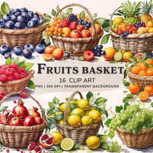 Fruit clipart, fruitmand aquarel clipart bundel, 16 zomer fruit PNG clipart, fruit afdrukbare graphics, scrapbook digitale download