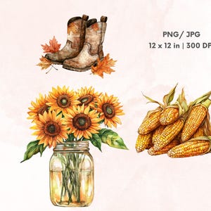 May include: Watercolor illustration featuring cowboy boots, sunflowers in a mason jar, and ears of corn. The image includes the text "PNG / JPG 12 x 12 in | 300 DPI". The color palette includes shades of brown, yellow, and green.