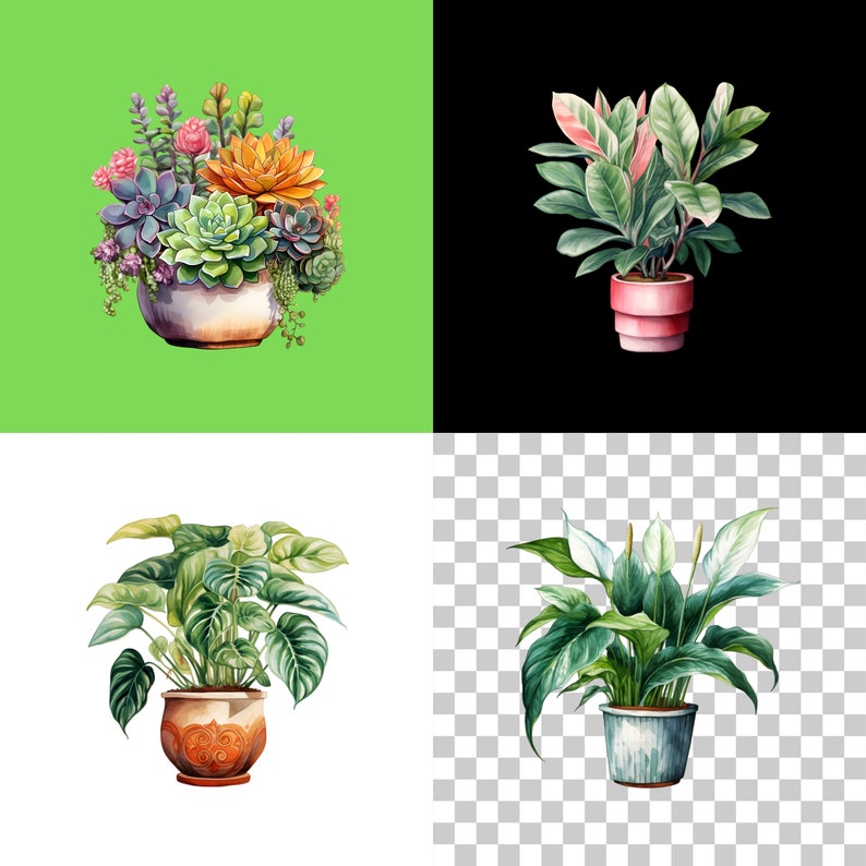 May include: A collection of four potted plants. The first pot contains a variety of succulents in shades of green, pink, and orange. The second pot contains a green plant with pink flowers. The third pot contains a green plant with large leaves. The fourth pot contains a white plant with green leaves.