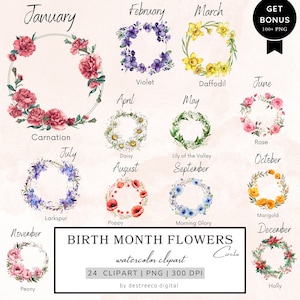 Clipart de flores do mês de nascimento, moldura de flores png, clipart floral de primavera, aquarela de flores silvestres, clipart do mês de nascimento, arte de flores, mídia mista