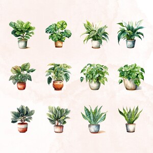 May include: A collection of twelve watercolor illustrations of potted houseplants. The plants are depicted in various styles, including monstera, peace lily, snake plant, and fiddle leaf fig. The illustrations are set against a light pink background.
