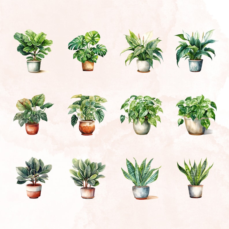 May include: A collection of twelve watercolor illustrations of potted houseplants. The plants are depicted in various styles, including monstera, peace lily, snake plant, and fiddle leaf fig. The illustrations are set against a light pink background.