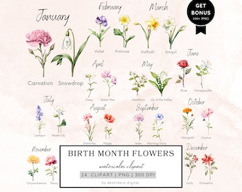 Watercolor Birth Month Flowers Clipart Bundle, Floral Png Set, Birth Flowers Kit, Botanical Clipart, Bundle Birthday Flowers, Mixed Media