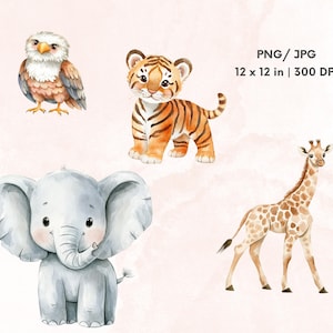 Safari Animals Clipart, Cute Watercolor Jungle Animals, Lion Giraffe ...
