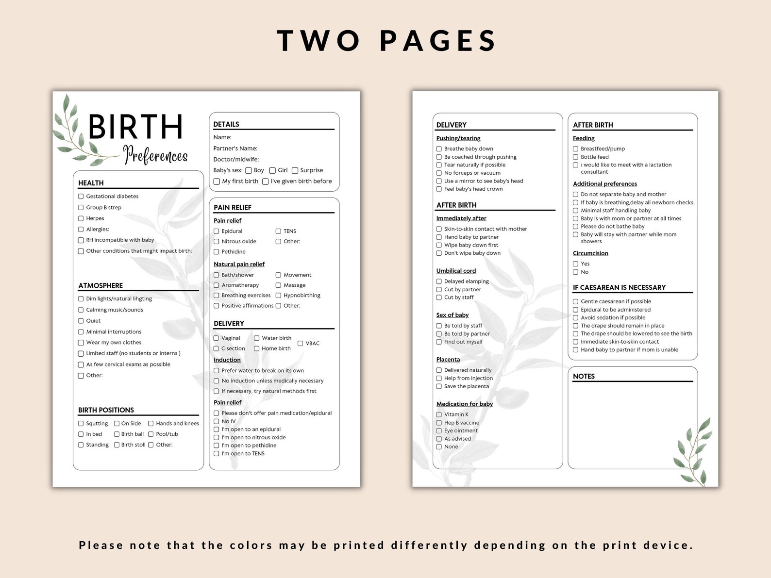 Editable Birth Plan Template Canva Birth Plan Printable - Etsy