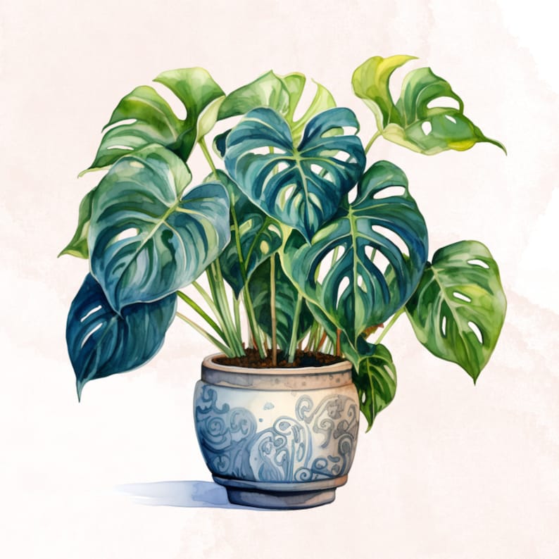 May include: A watercolor painting of a potted monstera plant with large, green leaves. The plant is in a blue and white ceramic pot with a decorative pattern.
