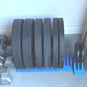 May include: Black weight plates are stored on a blue weight rack. The rack holds several plates, with additional plates on a smaller rack to the right. Dumbbells are visible in the background. The weights are for strength training.