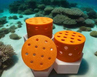 Copperband Butterfly Fish Feeder