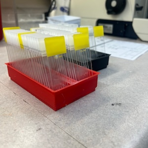 May include: A red plastic slide box filled with clear glass microscope slides. The slides have yellow labels with black text. The box is sitting on a white surface.