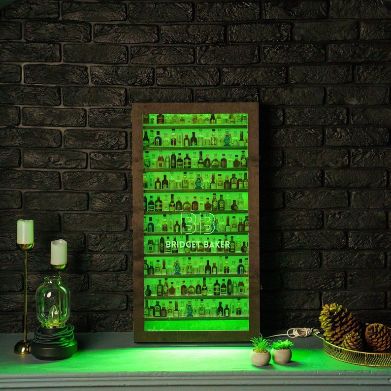 Shot Glass Display Lighted Shot Glass Display Case With Door Etsy
