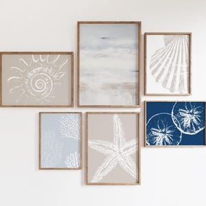 Coastal Wall Set of 6 Prints, Beach Wall Art, Shell Prints, Nautical Gallery Wall Art, Printable Summer Wall Art, Digital Prints