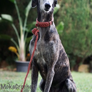 May include: A grey and brown dog wearing a red crocheted collar and leash. The dog is sitting on green grass. The leash is attached to a metal tag with the text "MokaCrochet - handmade with love".