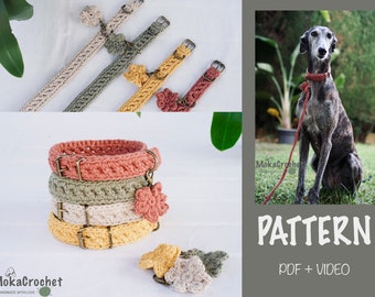 Dog Collar Crochet Pattern Video Tutorial, Dog Leash Crochet Pattern Tutorial, Boho Dog Collar, Dog Leash Crochet, Digital Download