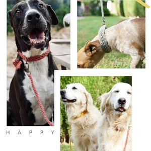 May include: Three dogs wearing crocheted collars and leashes. The dogs are a black and white mixed breed, a golden retriever, and a golden retriever mix. The text "MokaCrochet - HANDMADE WITH LOVE" is at the top of the image.