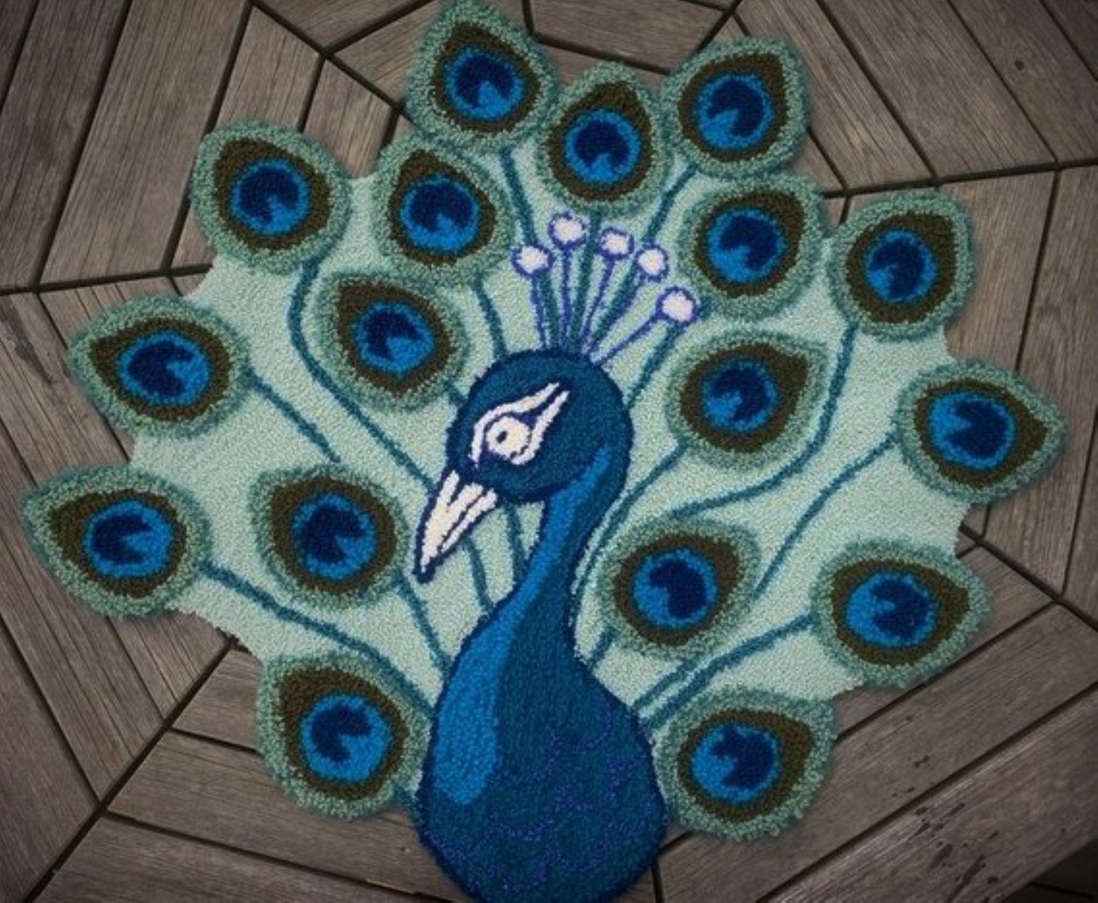 Punch Needle Kit / Tufting Kit. 1 Danella Needle Tool Frame 6 Wool