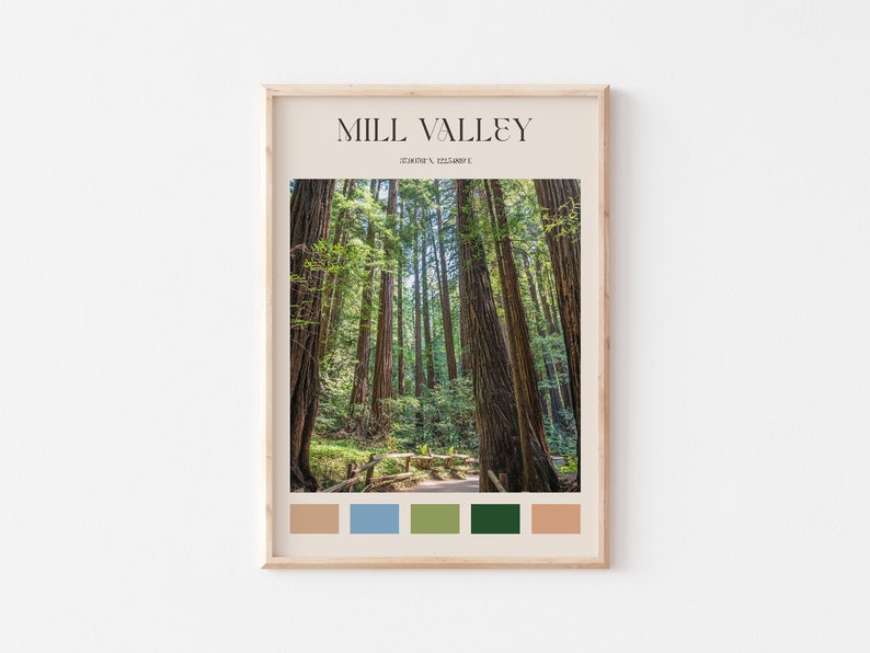 Mill Valley Print, Mill Valley Wall Art, Mill Valley Poster, Mill Valley Photo, Mill Valley Poster Print, California Travel AA852 image 1