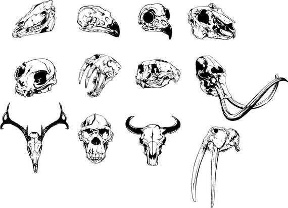 Animal Skulls Skull Silhouette Deer Skull Vector Svg - Etsy Animal Skulls Skull Silhouette Deer Skull Vector Svg - Etsy
