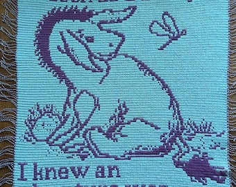 May include: A light blue crochet blanket featuring a dark purple graphic of a donkey and a dragonfly. The text reads, As soon as I saw you, I knew an adventure was going to happen. The blanket has fringe along the left and right vertical edges.