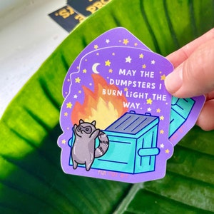 Dumpster Fire Raccoon Sticker for laptop Stanley Cup sticker gift for friend kawaii sticker funny cute animal anarchy trash anarchist burn