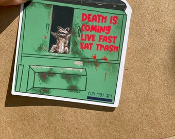 Funny Raccoon Sticker - Quirky Trash Panda Meme Decal