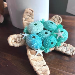May include: A woven sea turtle decoration with a blue and green color gradient. The turtle is decorated with sea urchins and starfish.