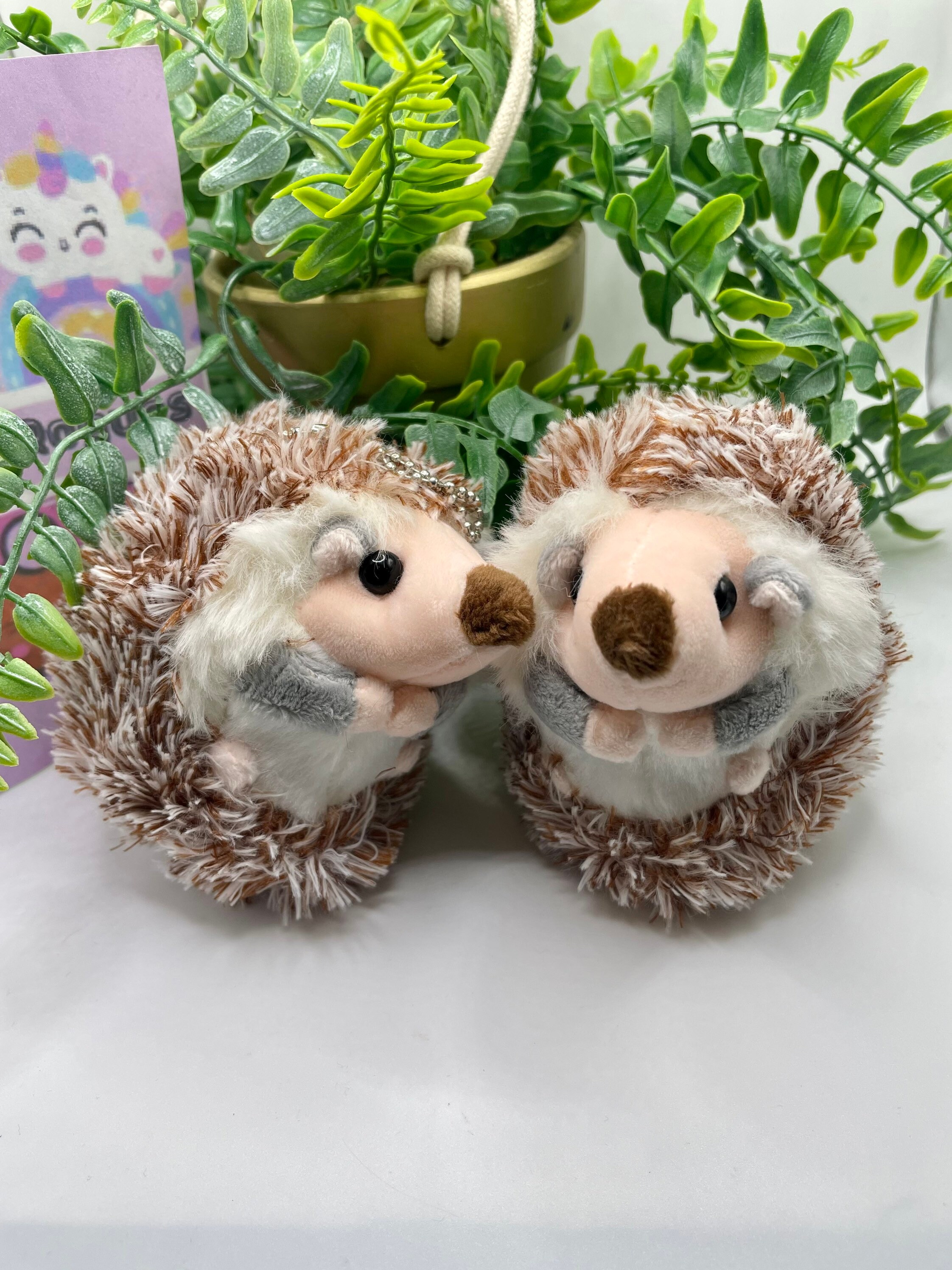 cute hedgehog plush