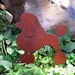 Standard Poodle Dog CNC Plasma DXF Autocad Digital Cutting File Pattern ...