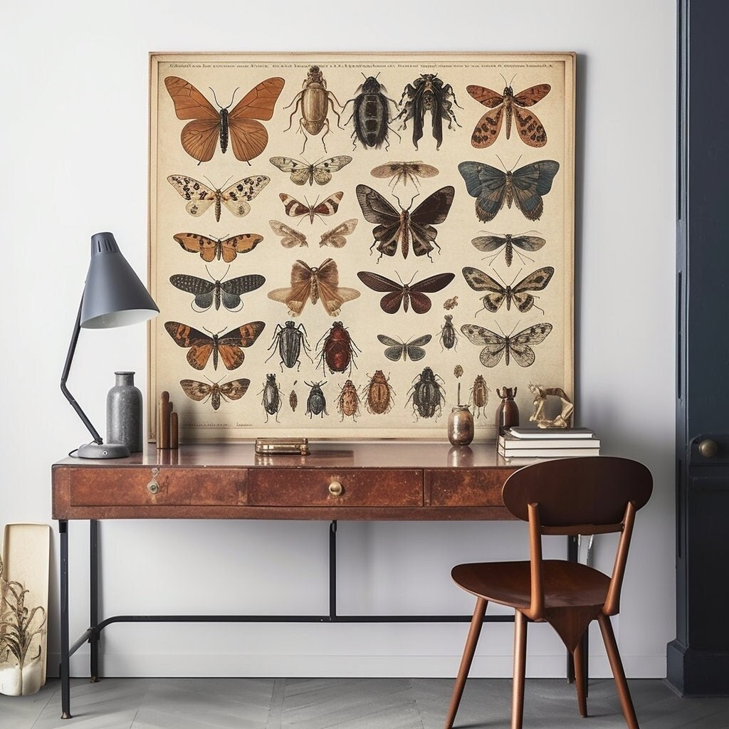 100 Vintage Insect Digital Downloads, Entomology Wall Art, Antique Bug