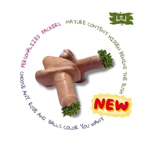 STP Packer - Fully Personalized - ftm packer - stand to pee - ftm prosthetic - trans packer - STP Willy V2
