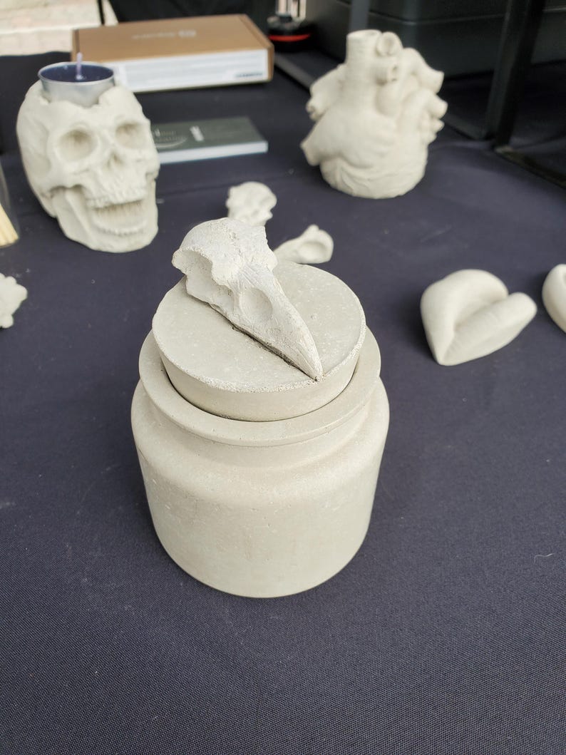 May include: A white concrete jar with a lid featuring a bird skull design. The jar is sitting on a black surface.