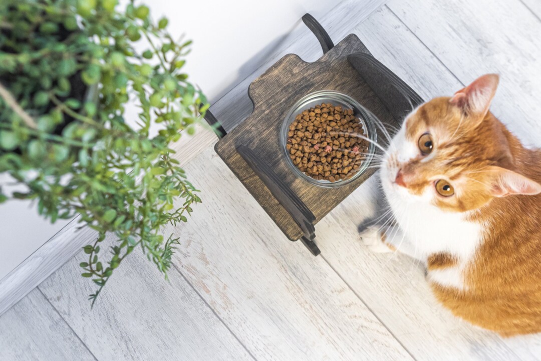 Cat Feeding Station Cat Feeding Stand Pet Feeder Station Etsy