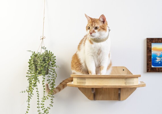 Cat hot sale perch bed