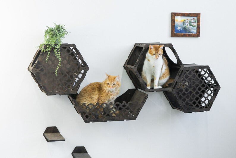 Hexagon Cat Shelves Cat Wall Furniture Set Cat Wall Shelves Etsy