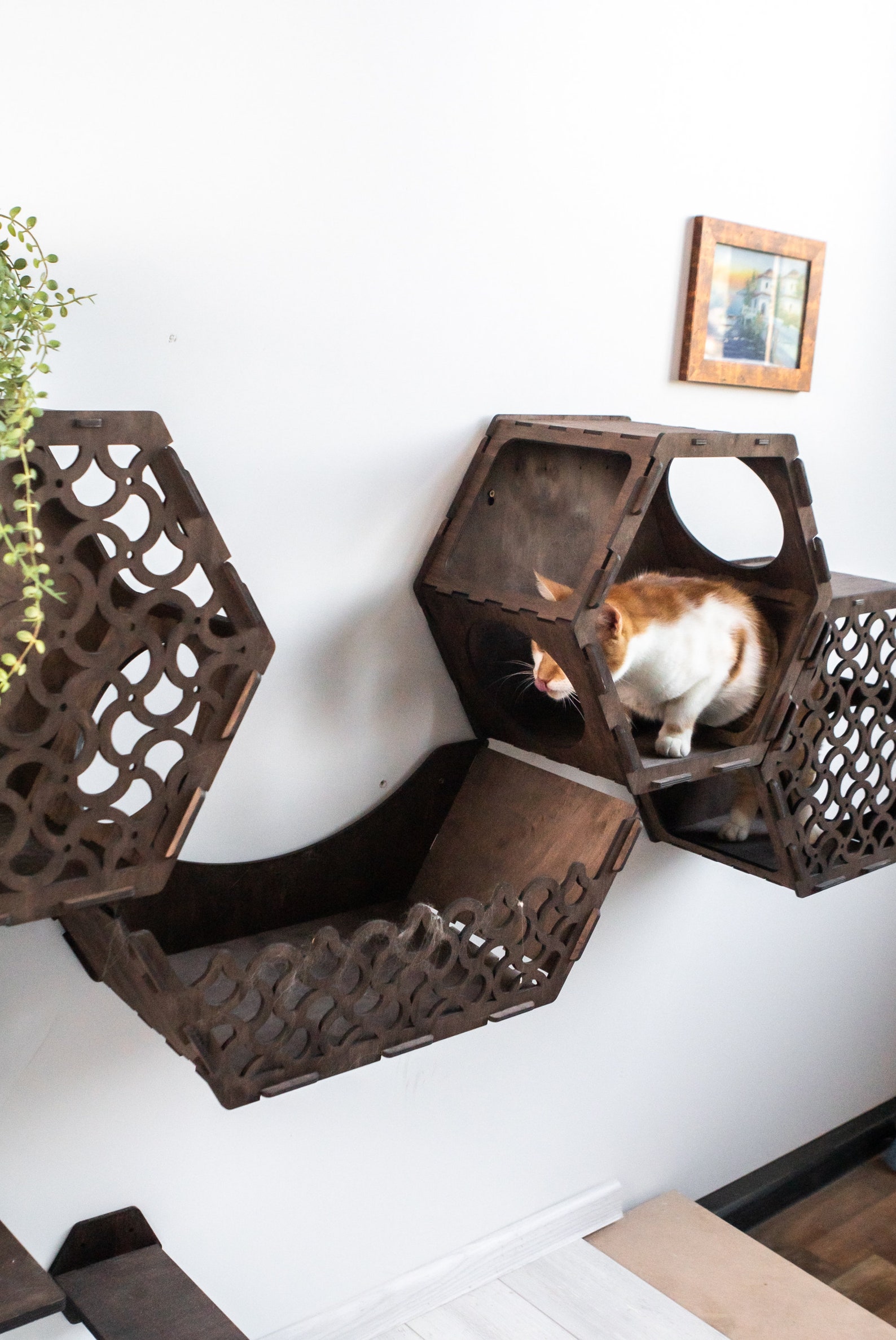 Hexagon Cat Shelves Cat Wall Furniture Set Cat Wall Shelves Etsy