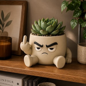 May include: A beige ceramic planter with an angry face and a raised middle finger, holding a green succulent plant. The planter has arms and legs, sitting on a wooden shelf. A framed picture and a candle are in the background.