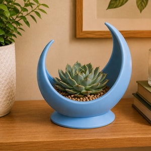 May include: A light blue crescent moon-shaped ceramic planter with a smooth matte finish, featuring a green succulent plant nestled in small brown pebbles within the curved basin, supported by a circular base for stability on a flat surface.