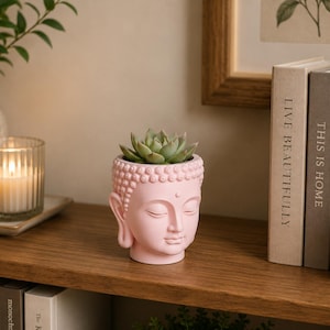 Può includere: Un vaso in ceramica rosa chiaro a forma di testa di Buddha con occhi chiusi e capelli testurizzati, contenente una piccola pianta succulenta verde. Il vaso presenta una finitura opaca liscia e un'apertura circolare sulla parte superiore.