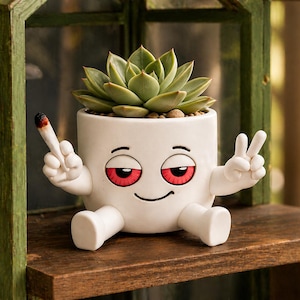 May include: A white ceramic plant pot with a cartoon face, red eyes, and a smiling mouth. The pot contains a green succulent and is making peace signs with its hands. One hand holds a lit cigarette. The pot is on a wooden shelf.