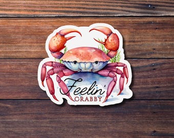 Feeling Crabby Sticker, Crab Sticker, Waterproof Sticker, Funny Sticker, Cute Sticker, Die Cut Sticker, Happy Planner Sticker