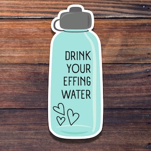 Drink Your Effing Water Sticker, Waterproof Sticker, Water Bottle Sticker, Funny Sticker, Die Cut Sticker, BIG Happy Planner Sticker
