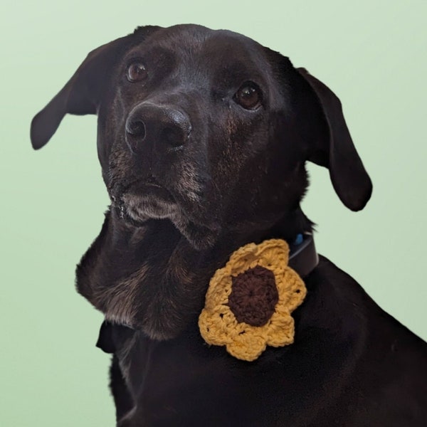 Crochet Flower for Pet Collar, Dog Collar Flower, Cat Collar Flower, Pet Accessory, Handmade Pet Gift, Wedding Collar Corsage, Dog Mom Gift