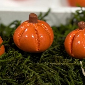 Mini Pumpkins Set