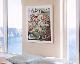 Trochilidae–Kolibris from Kunstformen der Natur (1904) by Ernst Haeckel - Wall Hanging - famous art