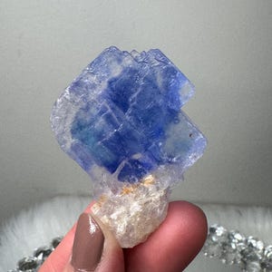 May include: A raw, natural fluorite crystal with a striking blue and white color gradient. The crystal has a rough, textured surface and is held in a hand. The base of the crystal is a light beige color.